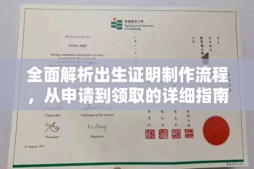 电白全面解析出生证明制作流程，从申请到领取的详细指南