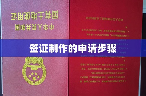电白签证制作的申请步骤