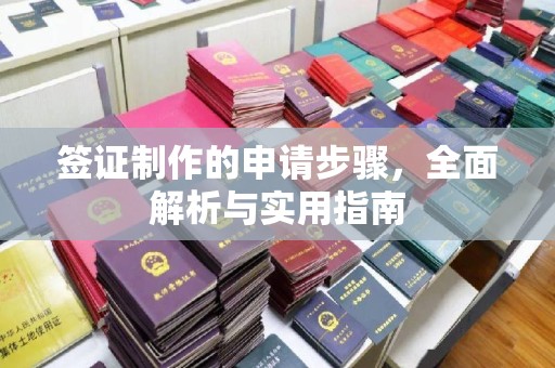 电白签证制作的申请步骤，全面解析与实用指南