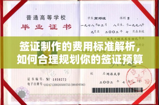 电白签证制作的费用标准解析，如何合理规划你的签证预算