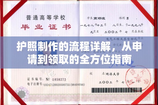 电白护照制作的流程详解，从申请到领取的全方位指南