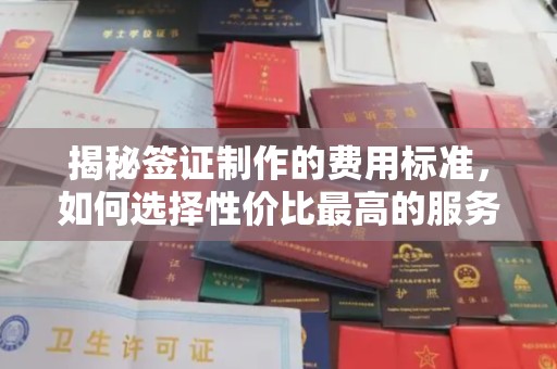 电白揭秘签证制作的费用标准，如何选择性价比最高的服务？