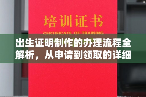 电白出生证明制作的办理流程全解析，从申请到领取的详细指南