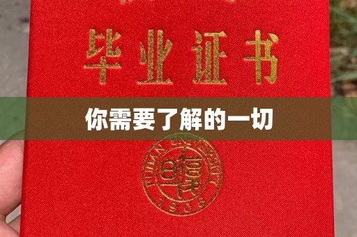电白你需要了解的一切